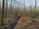 Sentier quasi disparu